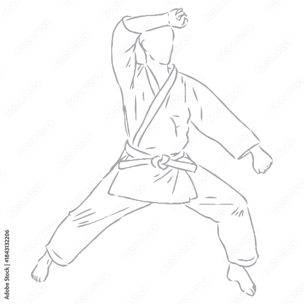 Fototapeta premium karate, karate vector sketch, movements in karate