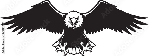 Illustration of a black and white eagle with wings spread wide open flying