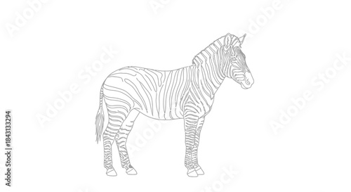 Elegant zebra outline standing tall against a white backdrop displaying intricate stripes of the