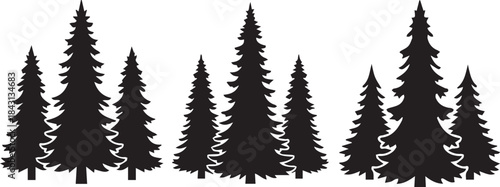 Silhouette of Pine Trees Forest Illustration Nature Scene