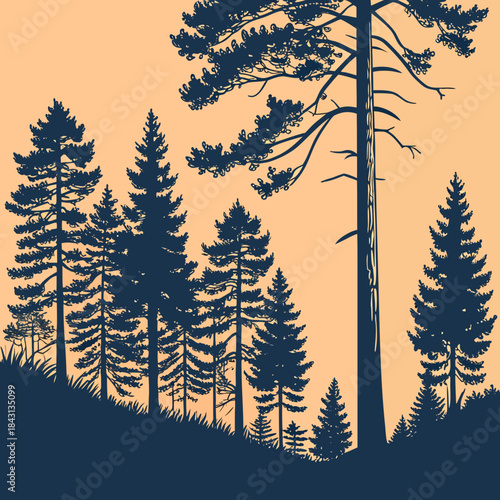 Silhouetted pine trees and grassy hillside against a warm peach colored sky in a stylized graphic illustration