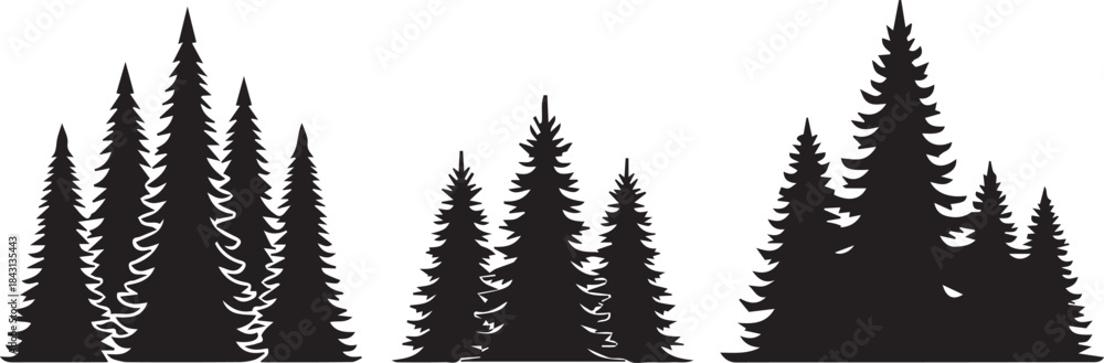 Obraz premium Silhouettes of Tall Pine Trees in Nature Forest Scene