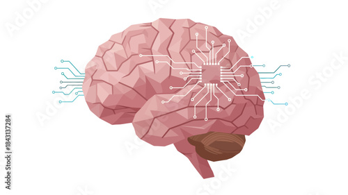 Illustration of a human brain with neural network connections on a white background