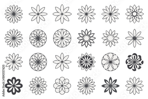 Floral Flourish: A delicate assortment of ornamental floral designs, each petal a testament to the artistry of nature's botanical beauty. 