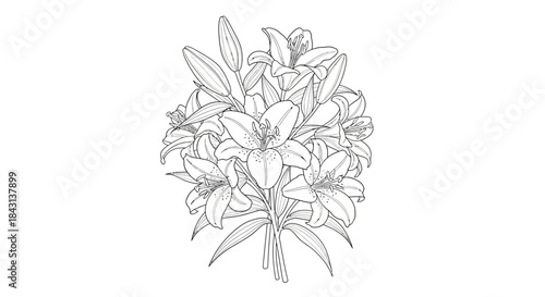 Elegant lilies bouquet illustration with delicate petals and botanical detail showcase minimal color