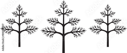 Three Simple Tree Silhouettes Nature Illustration Art