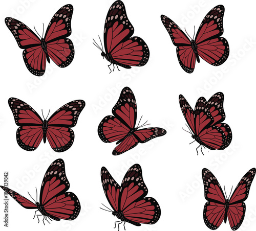 Red butterfly, black wings, white spots, insect pattern, flying butterflies, nature background, entomology design, wildlife illustration, decorative motif, symmetry art