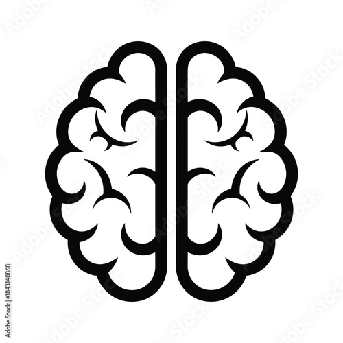 Human brain illustration on white background