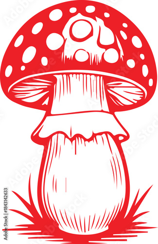 Comic mushroom icon. Cartoon vector illustration. Detailed botanical drawing of red mushroom. mushroom color pencil drawing isolated.