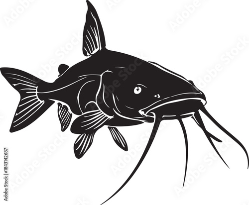 Catfish black and white silhouette line drawing illustration