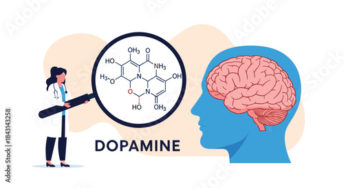 Medical concept of dopamine's role in the brain, with a doctor examining its chemical structure next to a human head illustration.