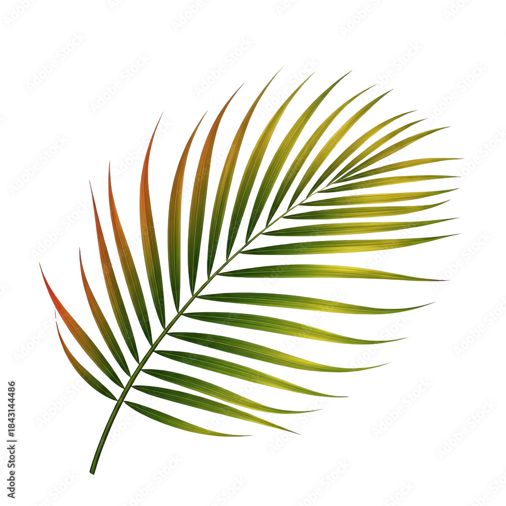 Fototapeta premium Isolated vibrant palm frond against a dark background illustration image