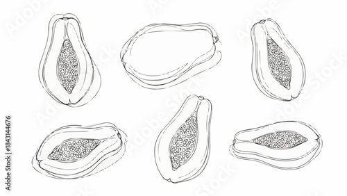 Hand Drawn Papaya Slices Collection Fresh Tropical Fruit Illustration.