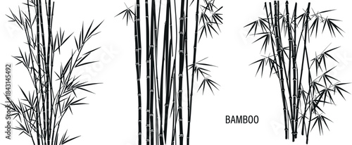 Bamboo silhouettes set, black and white vector illustration