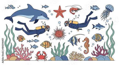 A vibrant underwater scene with scuba divers exploring a coral reef surrounded by a variety of sea life, including a dolphin and fish.
