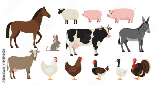 A set of classic farm animals isolated on a white background, including a horse, cow, pig, sheep, donkey, and various poultry.