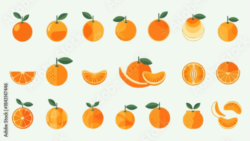 Collection of Fresh Oranges and Slices in Various Forms.