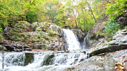 Wallpaper Mural Beautiful Autumn Maple Landscapes in Korea Torontodigital.ca