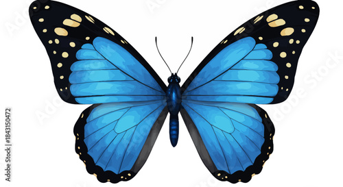 A beautifully detailed blue butterfly, rendered as a vibrant vector illustration, is isolated on a clean white background, perfect for various design projects.