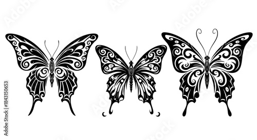 Set of Three Black Tribal Butterfly Tattoo Designs - Intricate Vector Silhouettes with Swirls and Ornate Wings