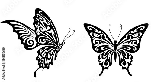 Elegant Tribal Butterfly Design