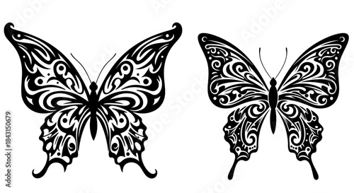 Two stylized black and white butterfly designs with intricate tribal patterns on their wings, presented as vector illustrations.