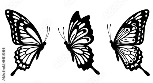 Set of Three Detailed Butterfly Silhouettes: Black and White Ornate Flying Insect Vector Collection.