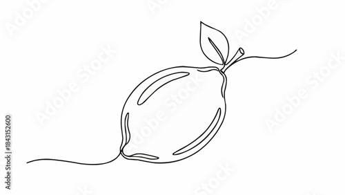 Minimalist single line drawing of a fresh lemon with a leaf.