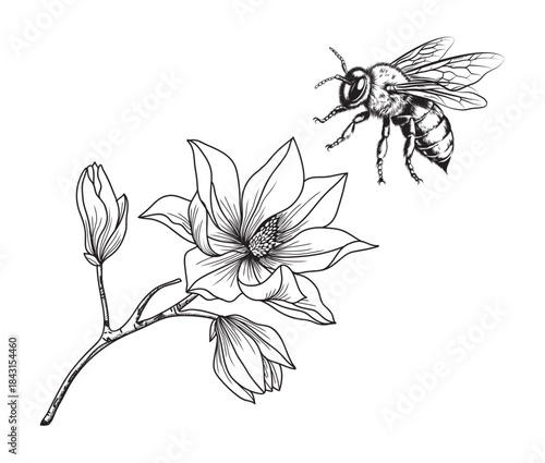 Bees buzzing around flowers. Black line drawing on a white background.