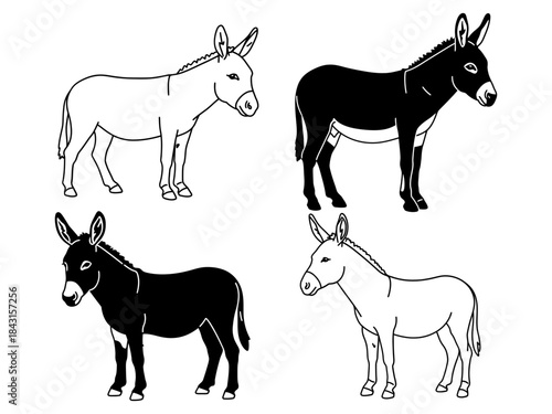 Four Faithful Donkeys