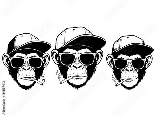 Monkey Hip Hop Smoke