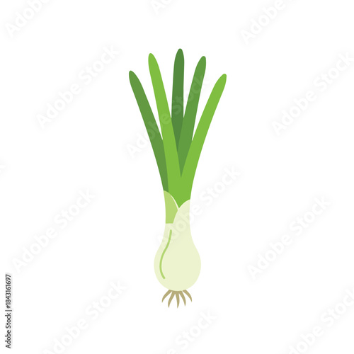 Single scallion or green onion suitable for food blogs, recipe cards, or culinary graphics for restaurants and food publications.