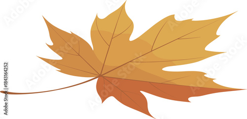 Autumn maple leaf illustration, fall season nature element, orange brown foliage design, isolated botanical graphic, minimal style