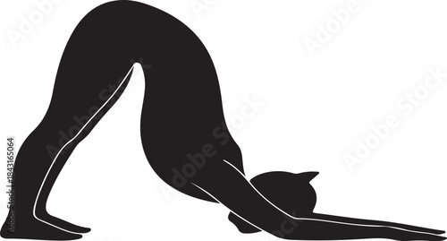 Silhouette of a person performing a yoga pose with a cat nearby