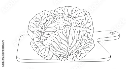 Black and white line art illustration of a whole head of cabbage resting on a wooden cutting board, ready for kitchen preparation.
