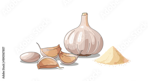 Whole garlic bulb with separated cloves and a small pile of ground garlic powder, illustrating a versatile culinary spice and ingredient.