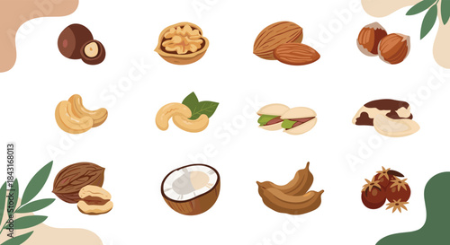 Set of various nuts illustrated in a gentle, flat style with abstract background shapes, including cashews, walnuts, almonds, and coconut.