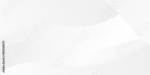 abstract white background with smooth decorative swirl lines flowing art concept