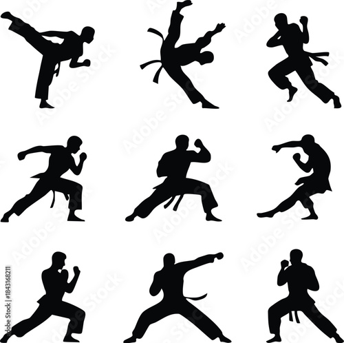 Martial Arts Poses Silhouettes, Martial Arts Poses Set, Karate and Taekwondo Silhouette Collection, Set of Fighting Poses Vectors, Silhouettes of People Practicing Martial Arts, illustration, vector.