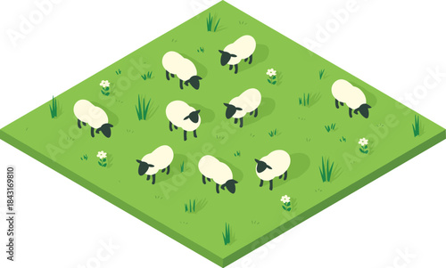 Isometric sheep pasture illustration, flock grazing on green field, rural farming landscape, livestock agriculture concept, flat design