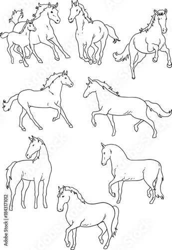 A collection of 9 realistic, detailed horse line art drawings in various dynamic poses, including running, trotting, standing, and a mare with her foal. Perfect for coloring books, outlines.