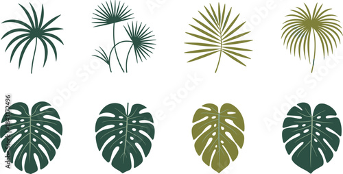 Tropical leaves illustration set, palm and monstera foliage collection, modern botanical design, green plant elements isolated