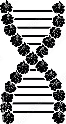 Dna double helix structure silhouette