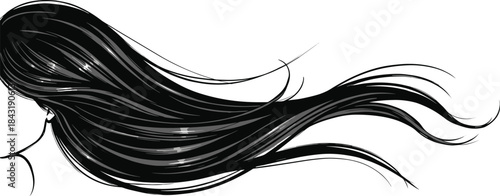 Accordion musical instrument with bellows and keyboard, black silhouette design for polka, folk music, band, and traditional sound concepts, isolated vector