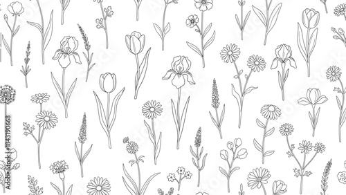 Black Outline Pattern of Wild and Garden Flowers, Line Art Drawing of Irises, Tulips, and Daisies, Floral Seamless Background Illustration.