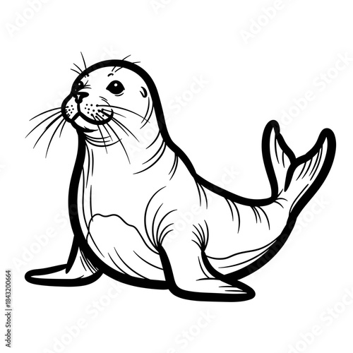 Cartoon seal illustration with playful expression and flippers