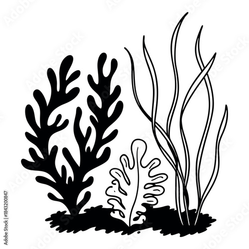 Stylized black and white illustration of various underwater plants and seaweed