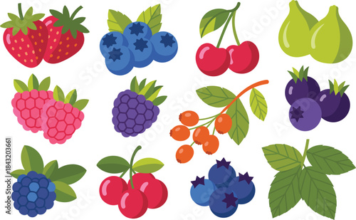 Assorted Fresh Berries and Fruits on White Background illustration