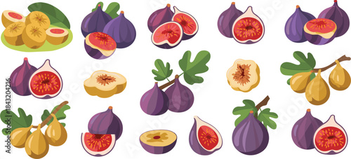 Assortment of Fresh Ripe Figs and Dried Figs with Leaves Keywords: fig, figs, fruit, fresh, ripe