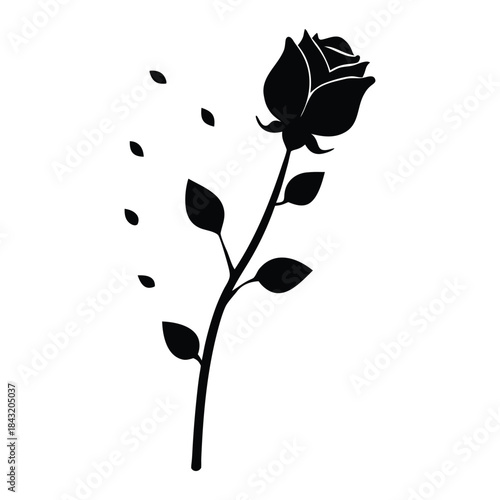  Valentine Rose Silhouette with Falling Petals